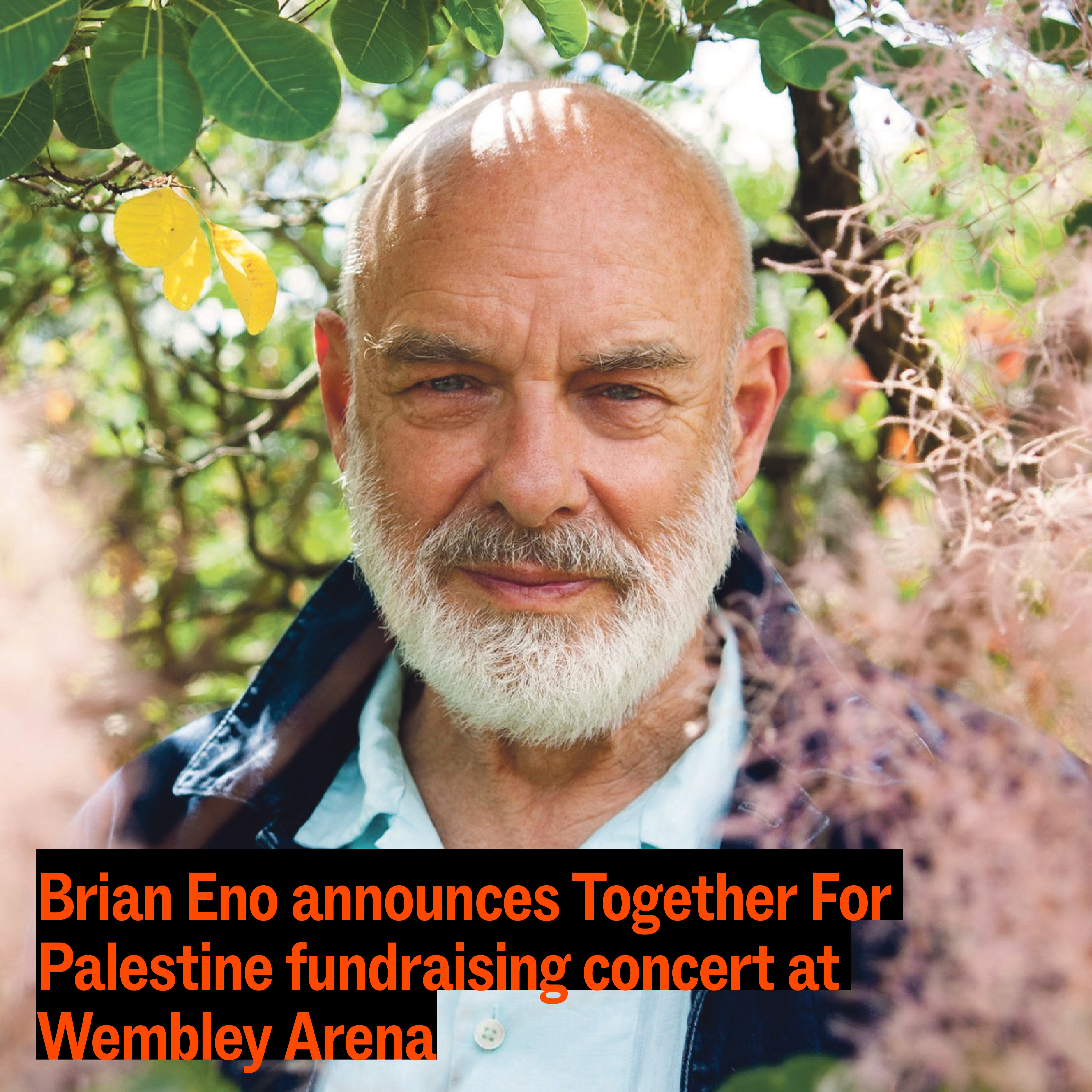 Together For Palestine  thumbnail