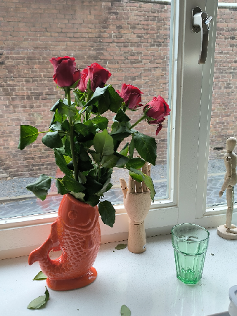 Cheap Food & Flowers thumbnail