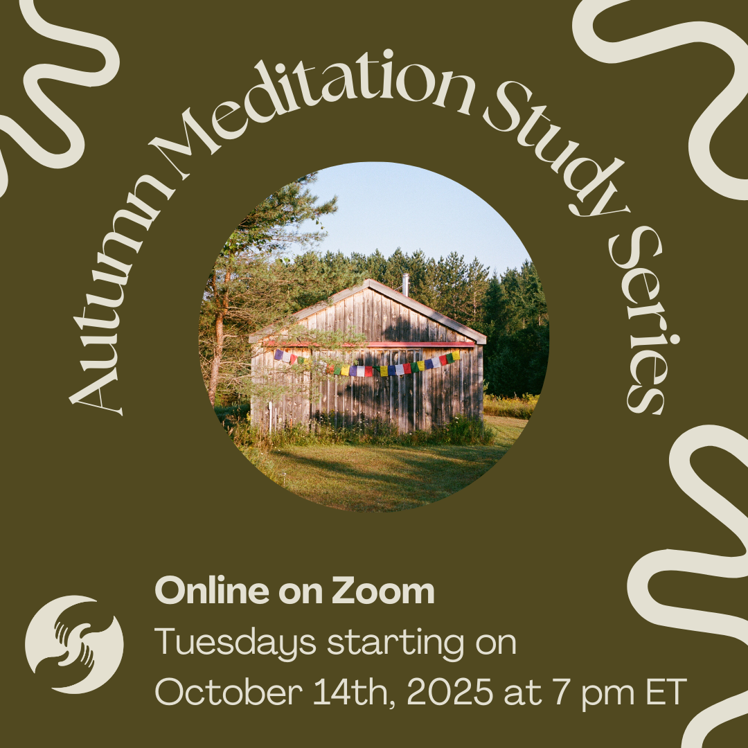 Meditation Study Series thumbnail