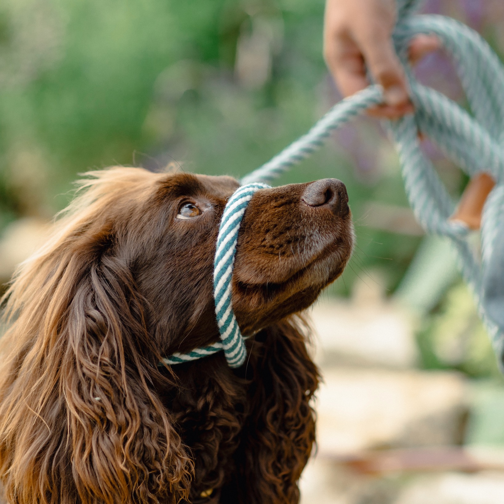 Become a Member thumbnail