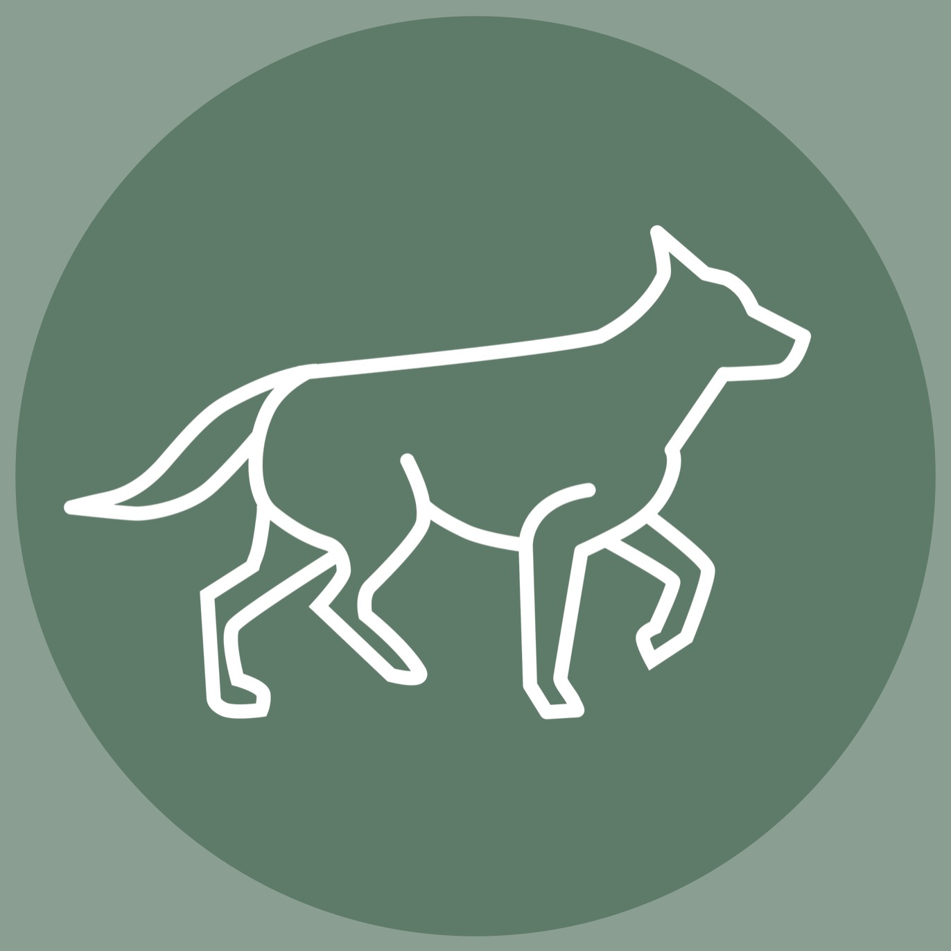 The Dog's Way - Relationship Centred Training thumbnail