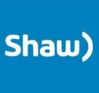 BioSite profile picture for @shawl