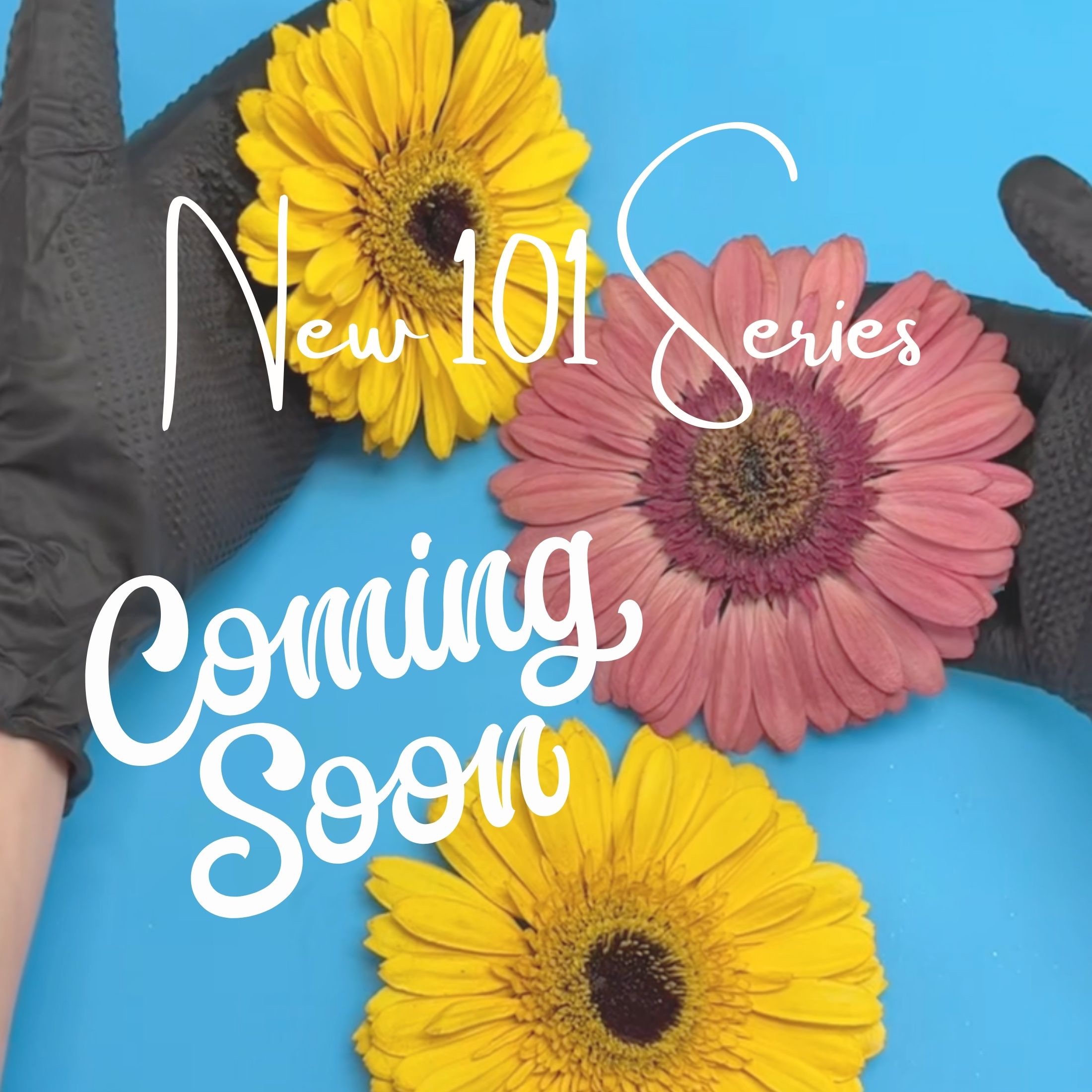 Sign up for VIP email + text alerts so you’re first to know when our Floral Preservation 101 series drops. thumbnail