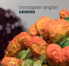 'Colonies' Catalogue Essay by Amy Prcevich | Hazelhurst Gallery thumbnail