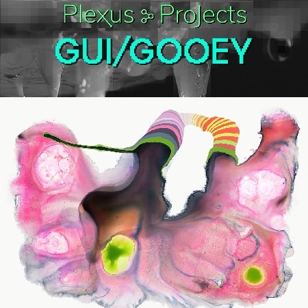 "Gui/Gooey" group show at Plexus Projects, Brooklyn, NY thumbnail