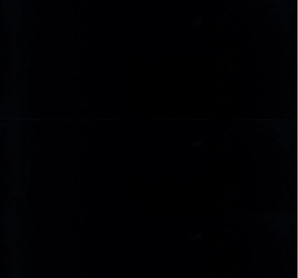 BioSite banner for @always