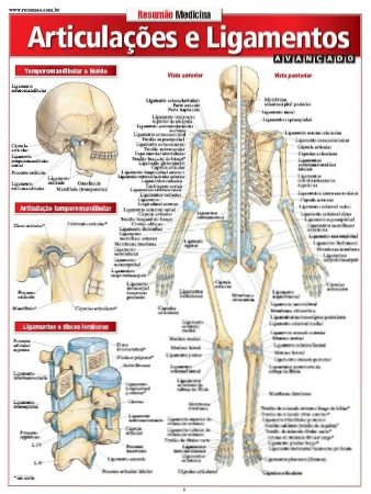 Articulações e Ligamentos Avançado  thumbnail