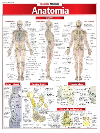 Anatomia (completa) thumbnail
