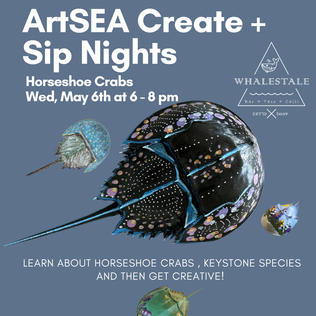 5/6: ArtSea Create & Sip Horseshoe Crabs thumbnail