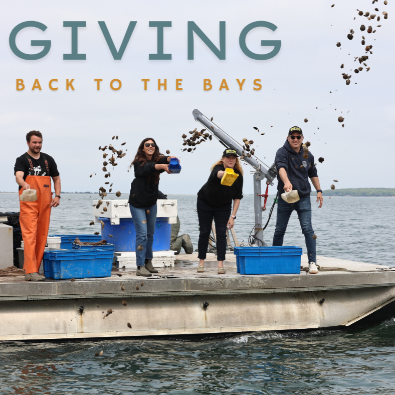 Donate — Back to the Bays thumbnail