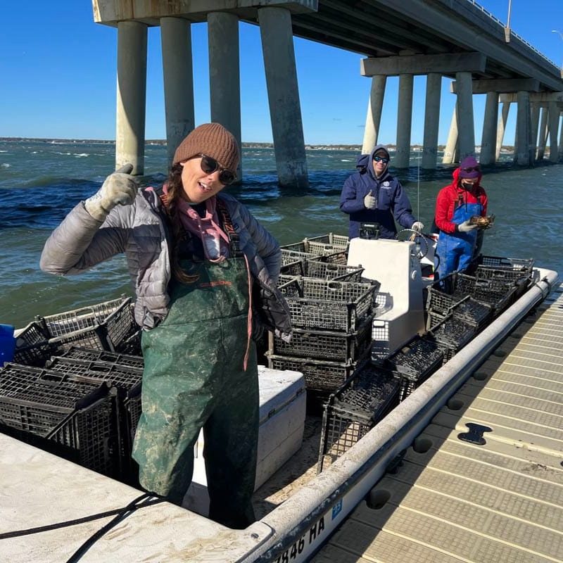 Hamptons.com: Back to the Bays: Protecting Our Waters One Volunteer at a Time thumbnail