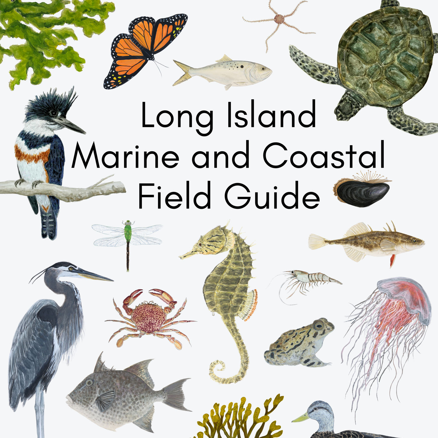 Order your Field Guide now! thumbnail