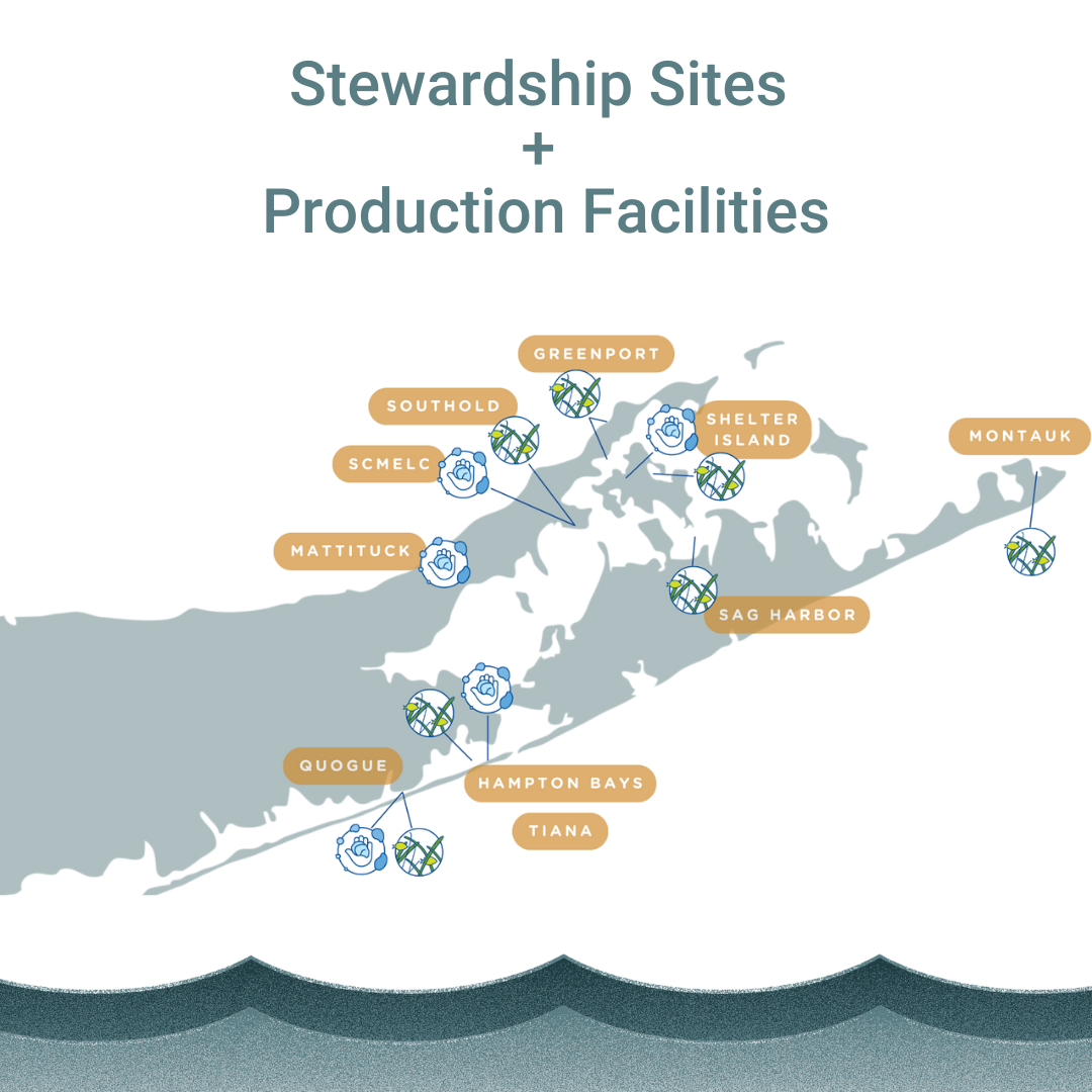 Sag Harbor Stewardship Site thumbnail