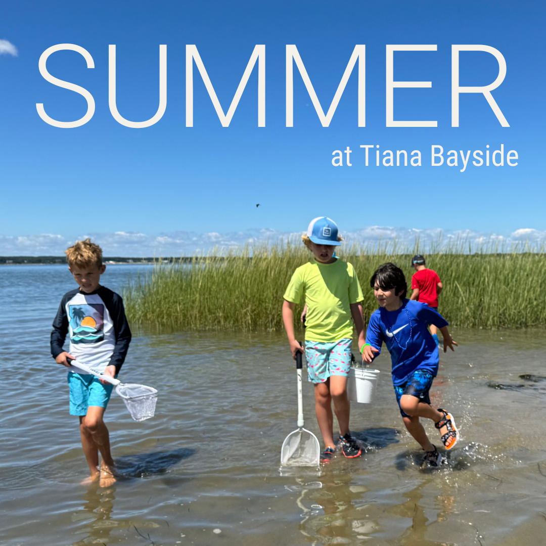 Summer Camp at Tiana Bayside thumbnail