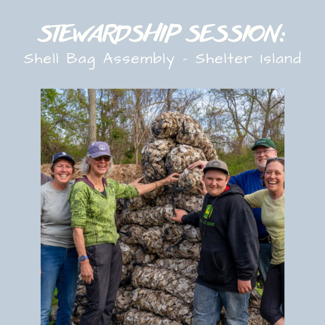 5/3: Stewardship Session: Shell Bag Assembly thumbnail