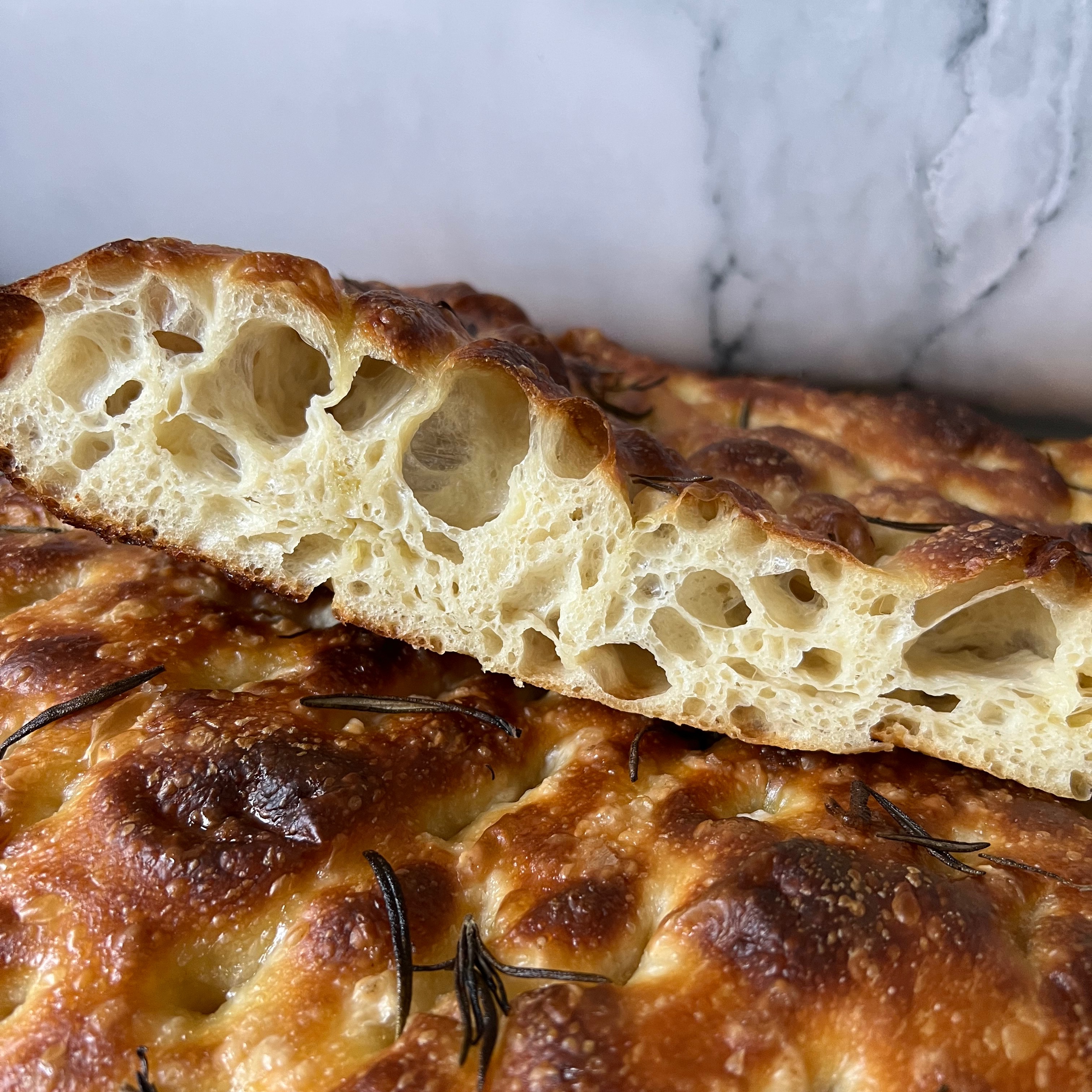 Focaccia Fundamentals Guide (printable PDF) thumbnail