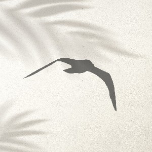 ORÇAMENTO PERSONALIZADO (BRIEFING) thumbnail