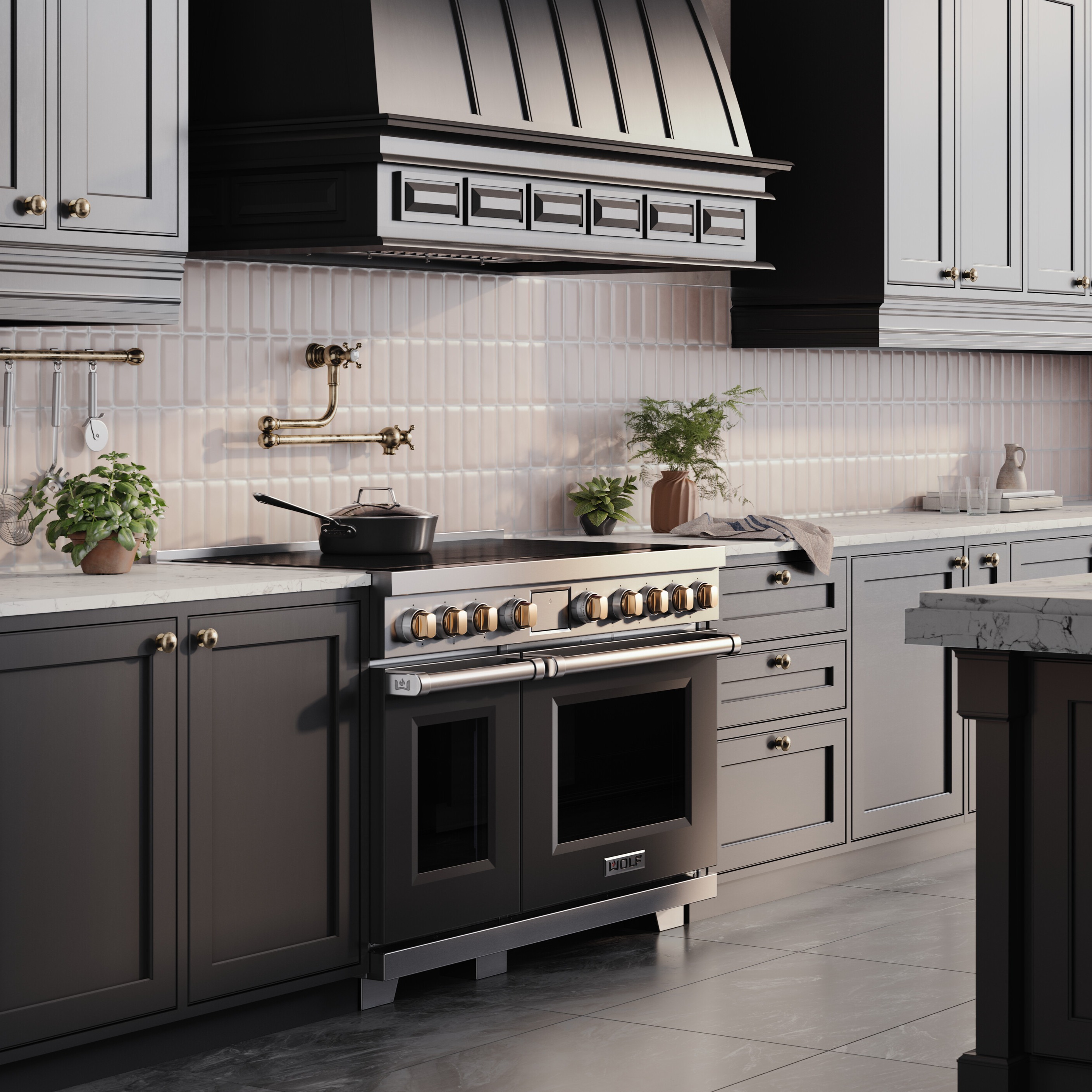 NEW Professional Induction Range thumbnail