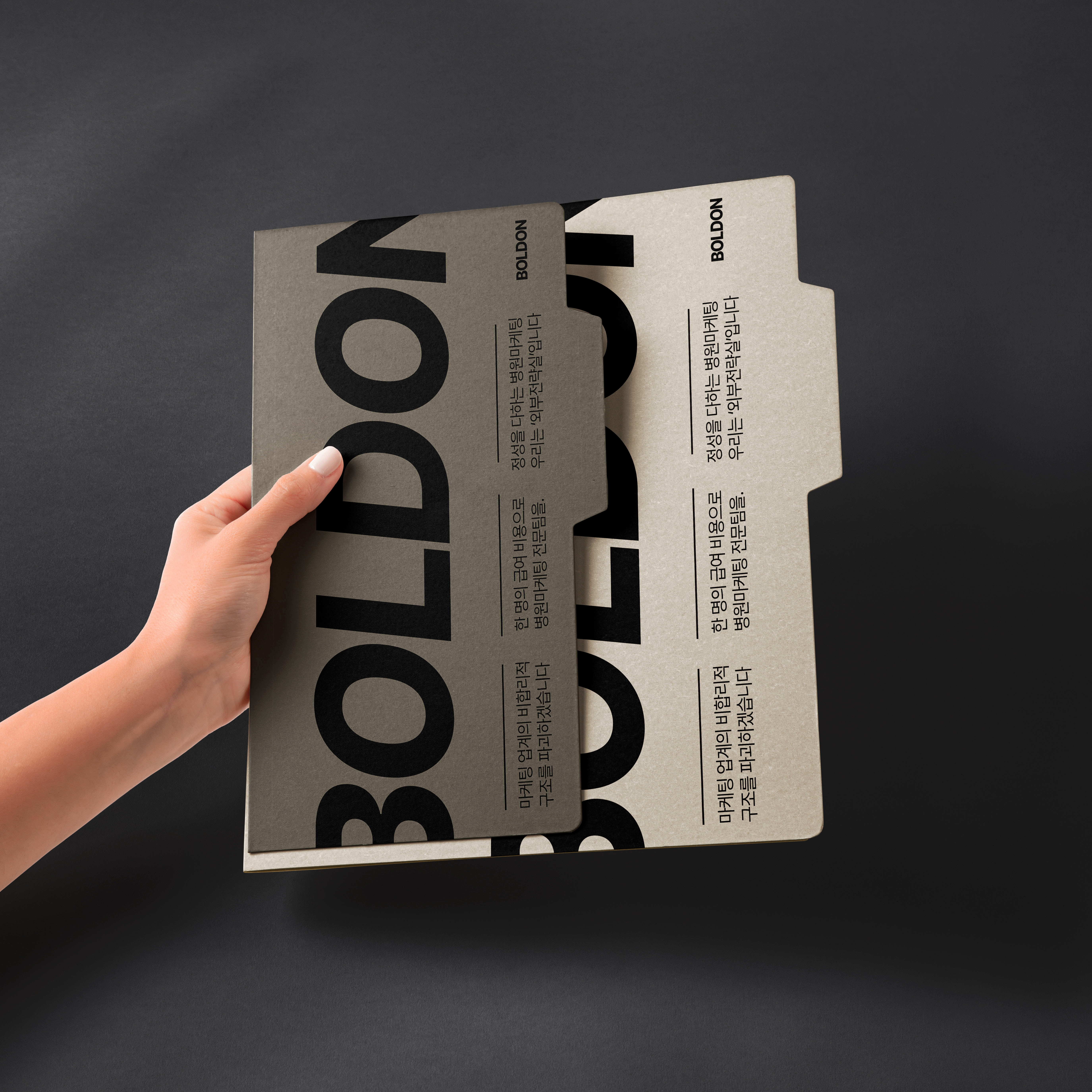 볼드온 제안서 thumbnail