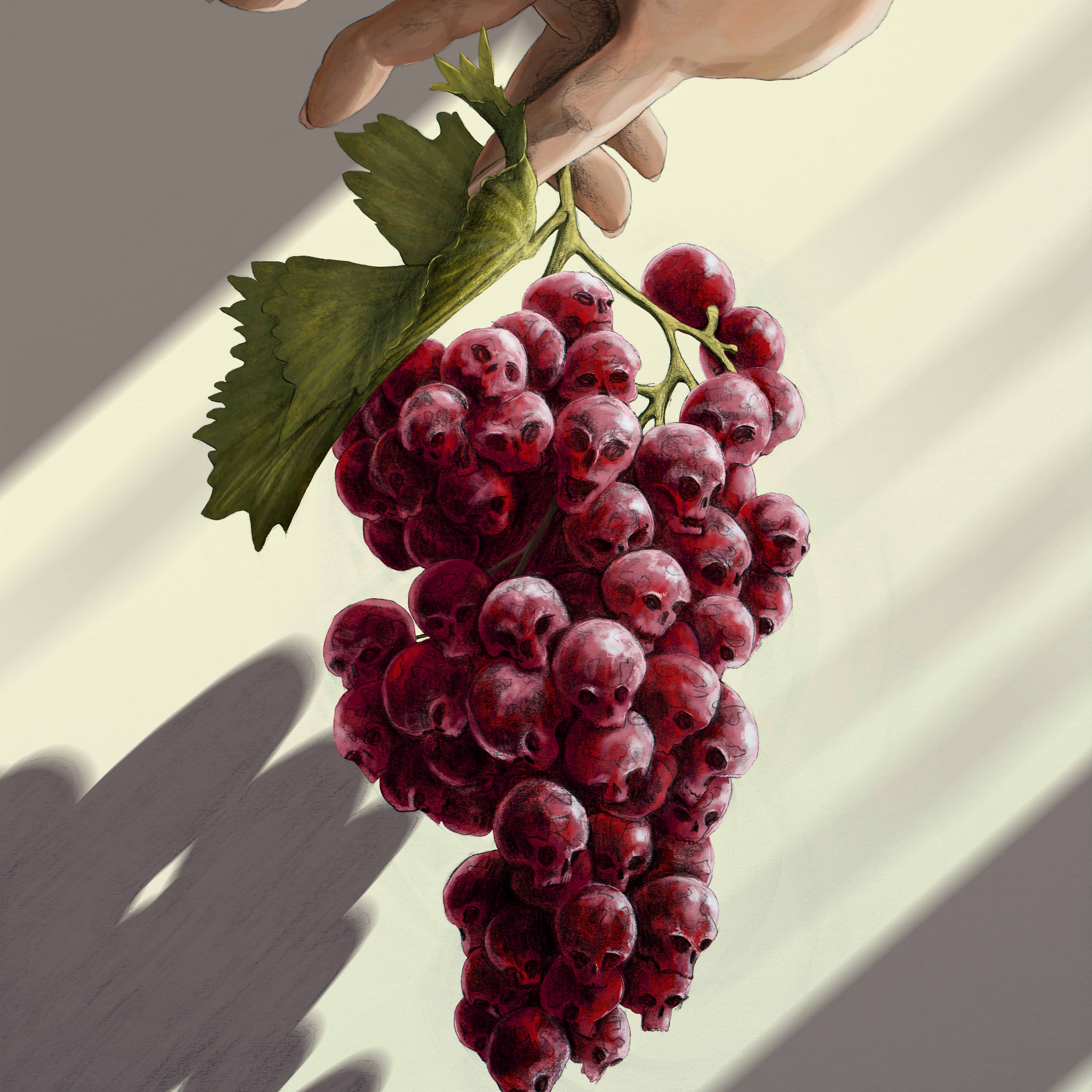 Früchte des Erfolgs thumbnail