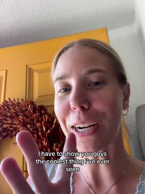 I fear I’m obsessed 