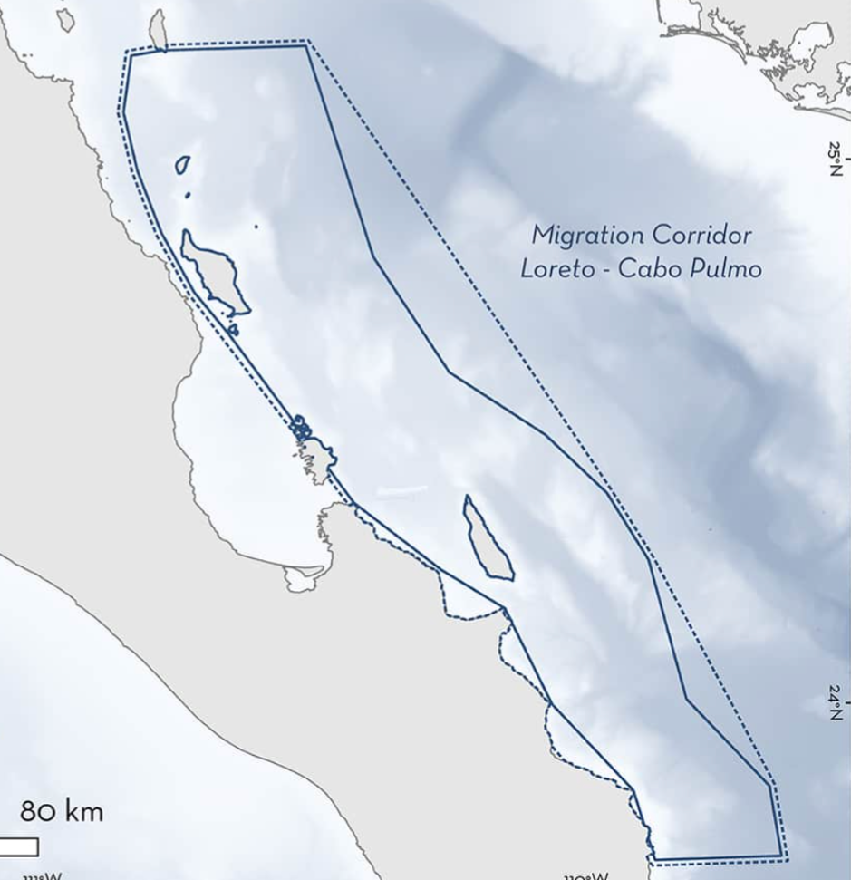 Corredor Loreto-Cabo Pulmo ISRA thumbnail