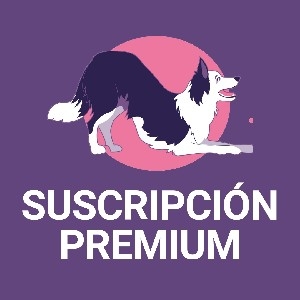 SUSCRIPCIÓN PREMIUM - 19€ Mes thumbnail