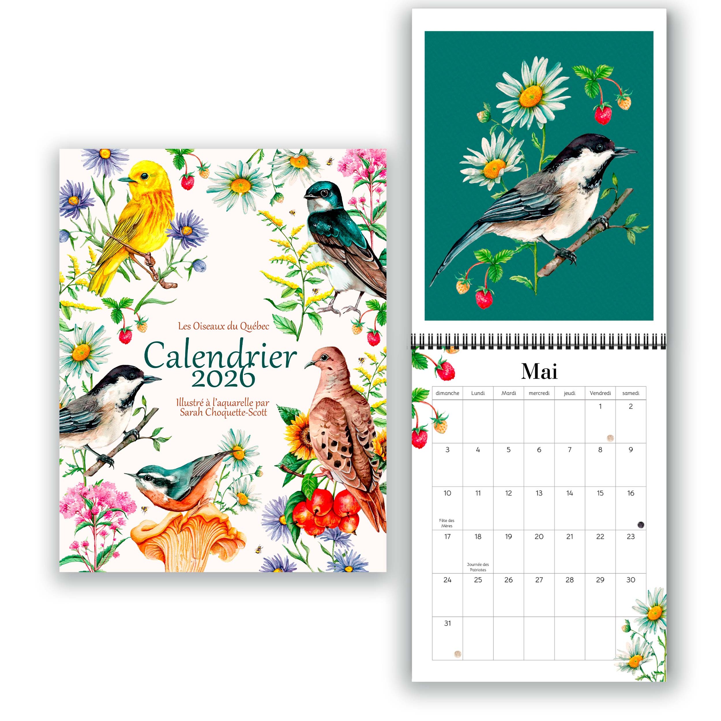 Commander le calendrier 2026 thumbnail