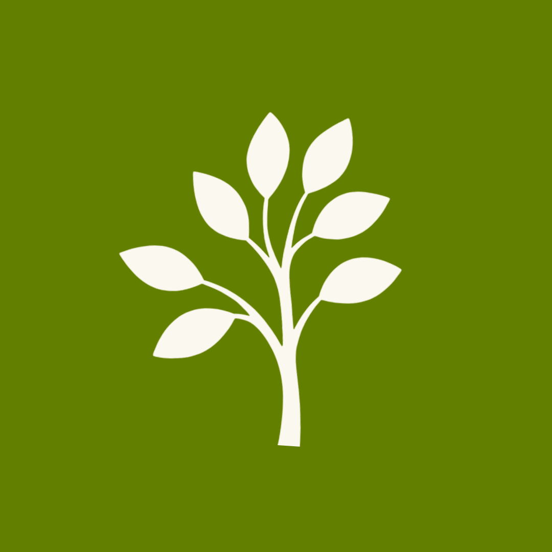 Our Garden Studio thumbnail