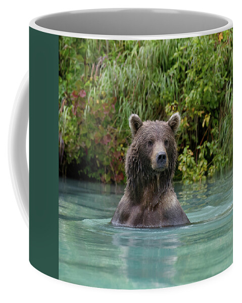 Rewild The Wild Coffee Mugs for Sale! thumbnail