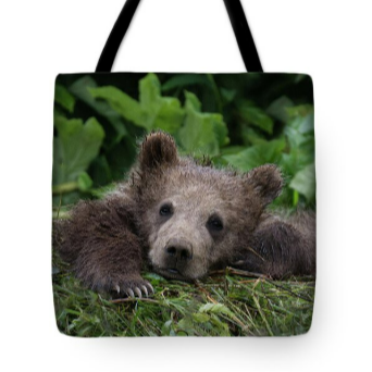 Check Out Our Tote Bags For Everyday Use! thumbnail