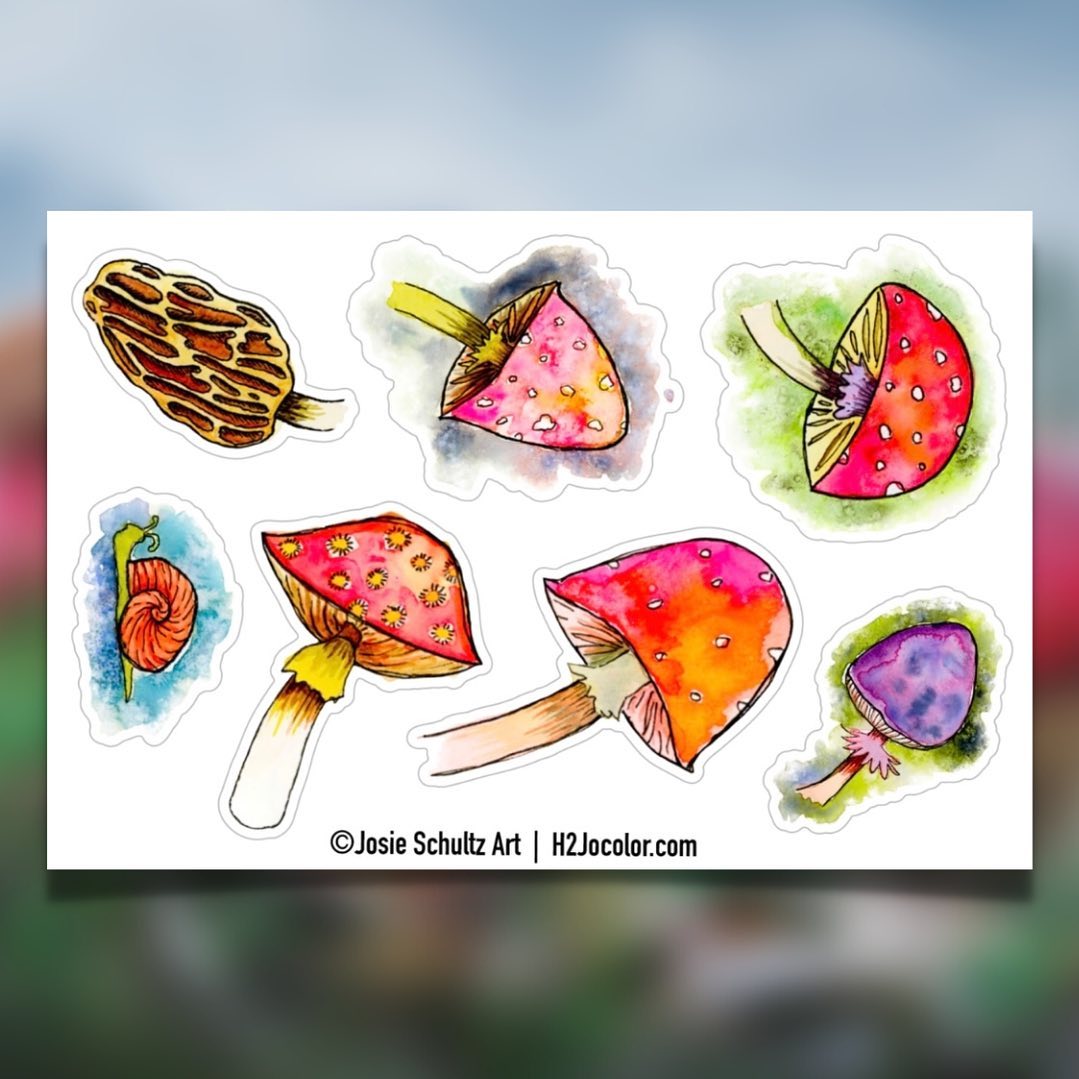 Mushroom Medley Sticker Sheets are now available on my online store! 🍄🐌 
.
4x6 sheet includes 8 stickers
.
.
.
.
#mushro