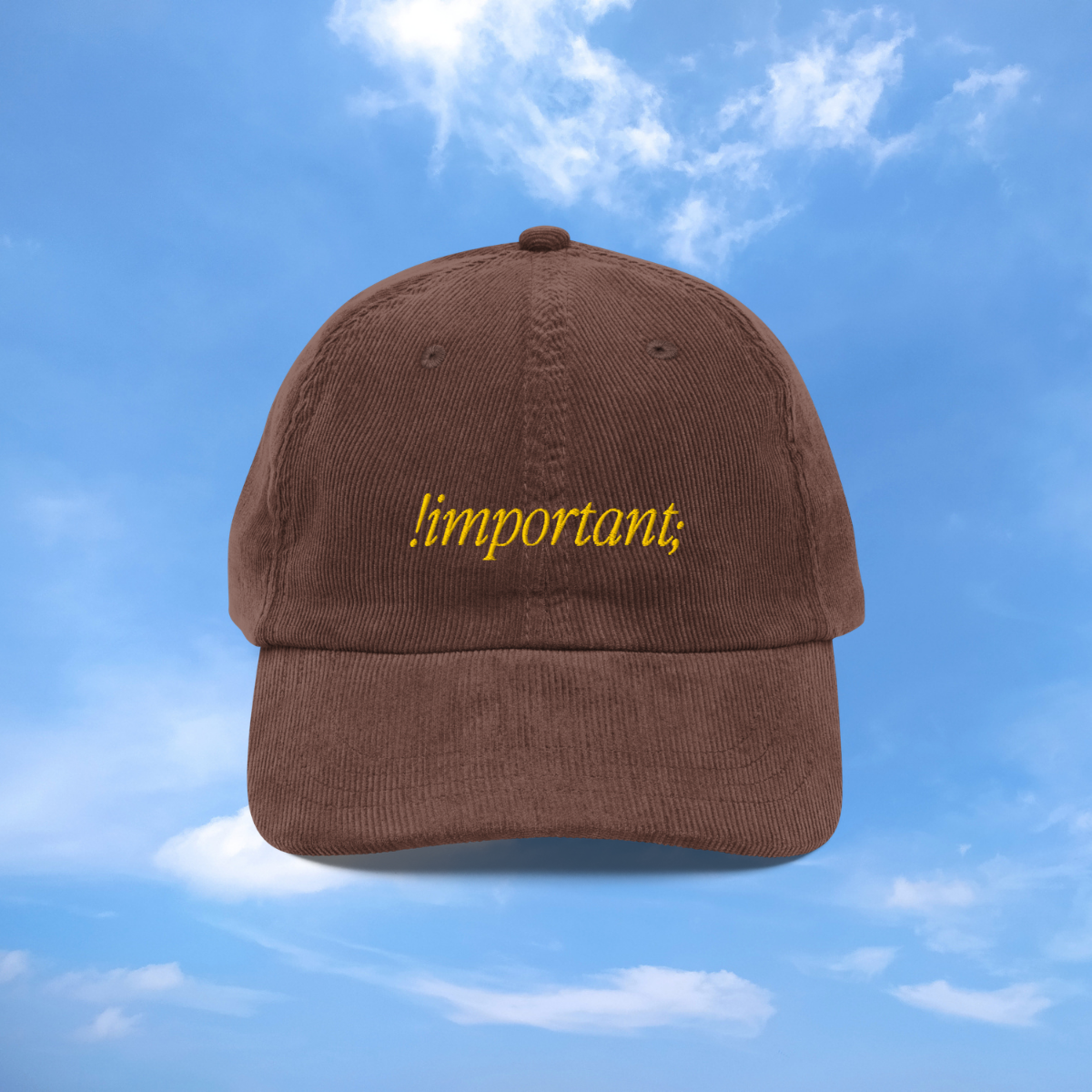 The Important Hat —$36 thumbnail