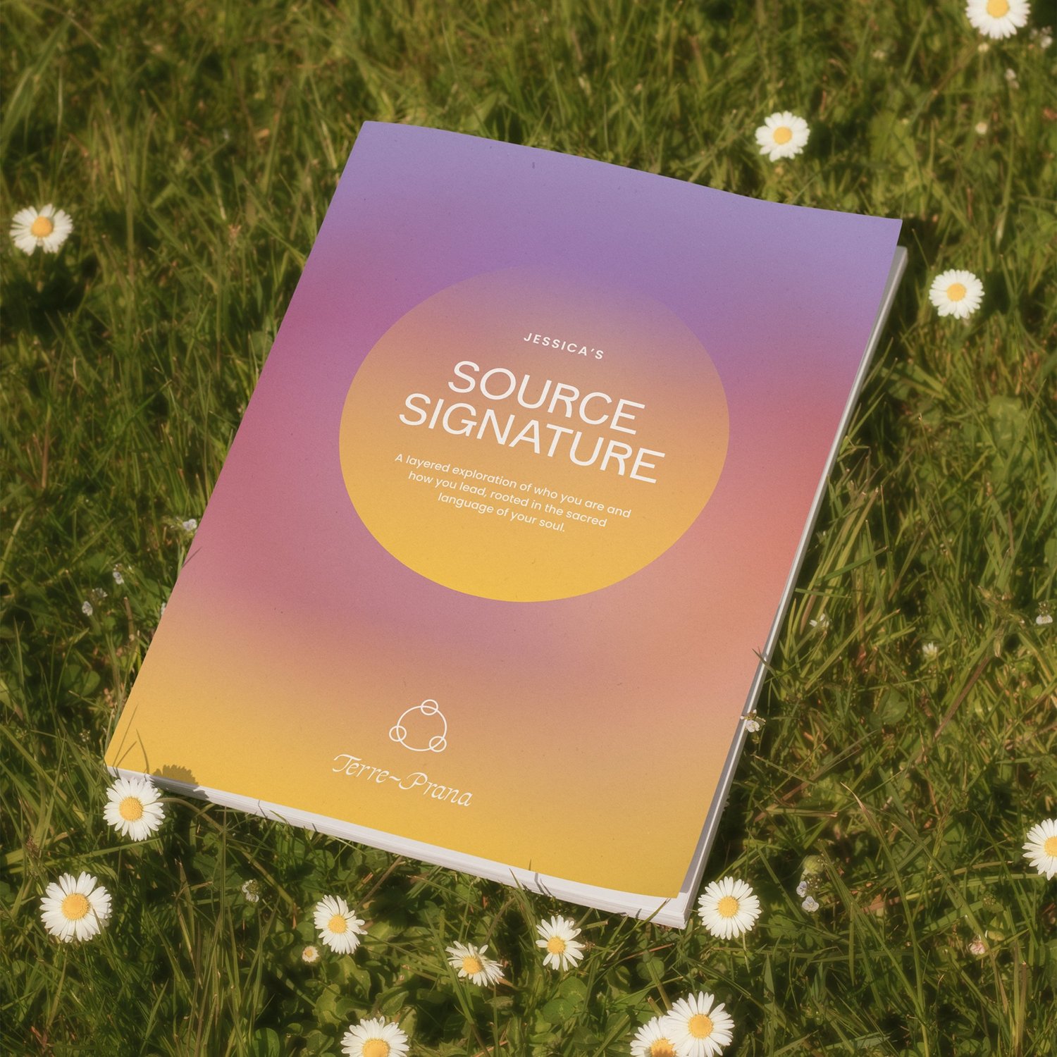 Source Signature Personalized Book –&nbsp;$444 thumbnail