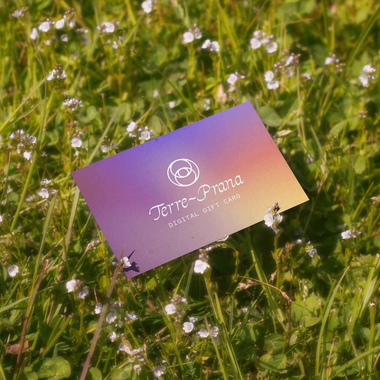 Digital Gift Cards –&nbsp;$50+ thumbnail