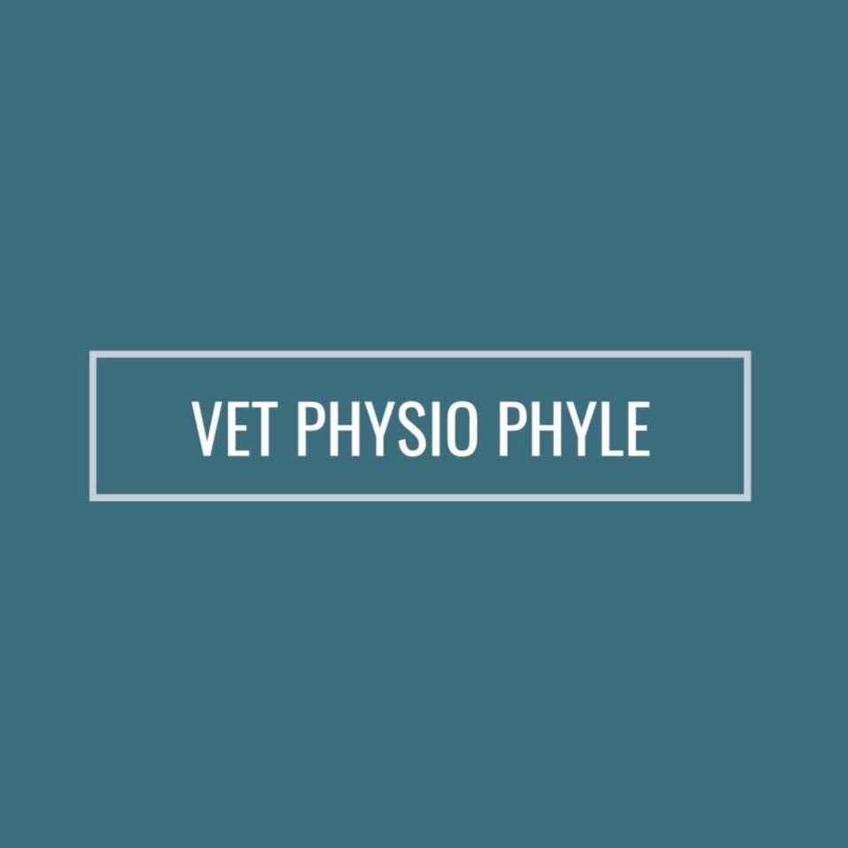 Vet Physio Phyle thumbnail