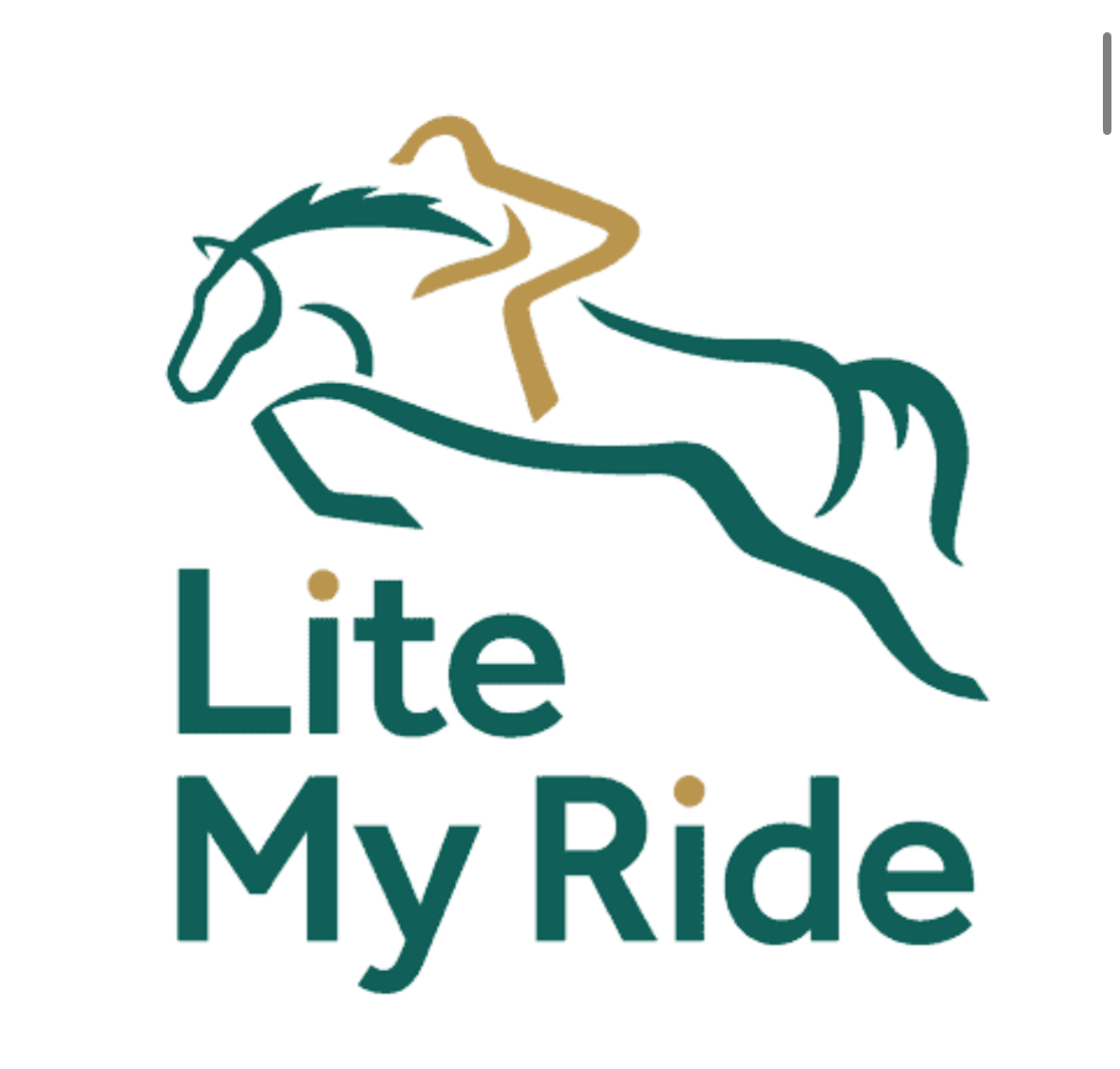 Lite My Ride  thumbnail