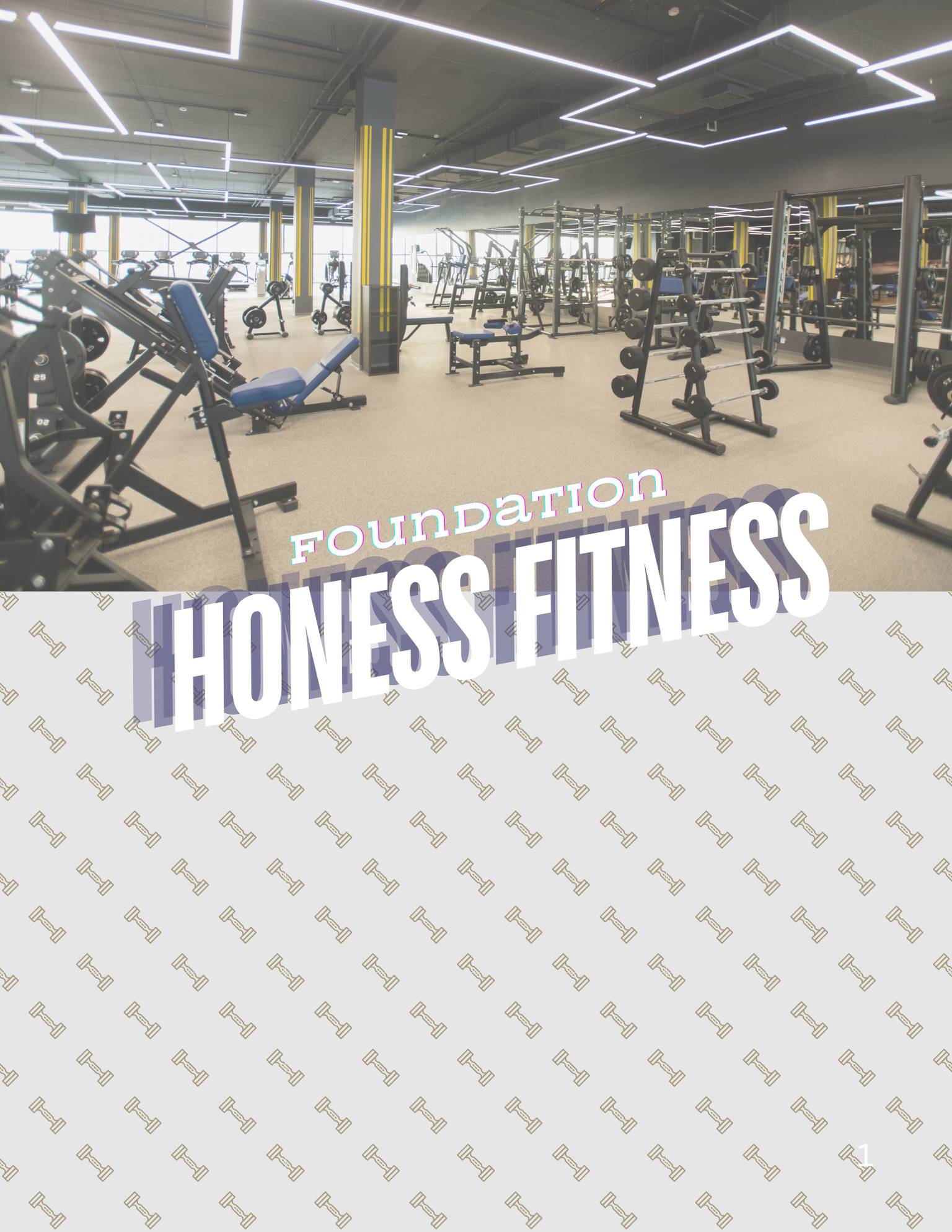 Honess Fitness-Foundations Program thumbnail
