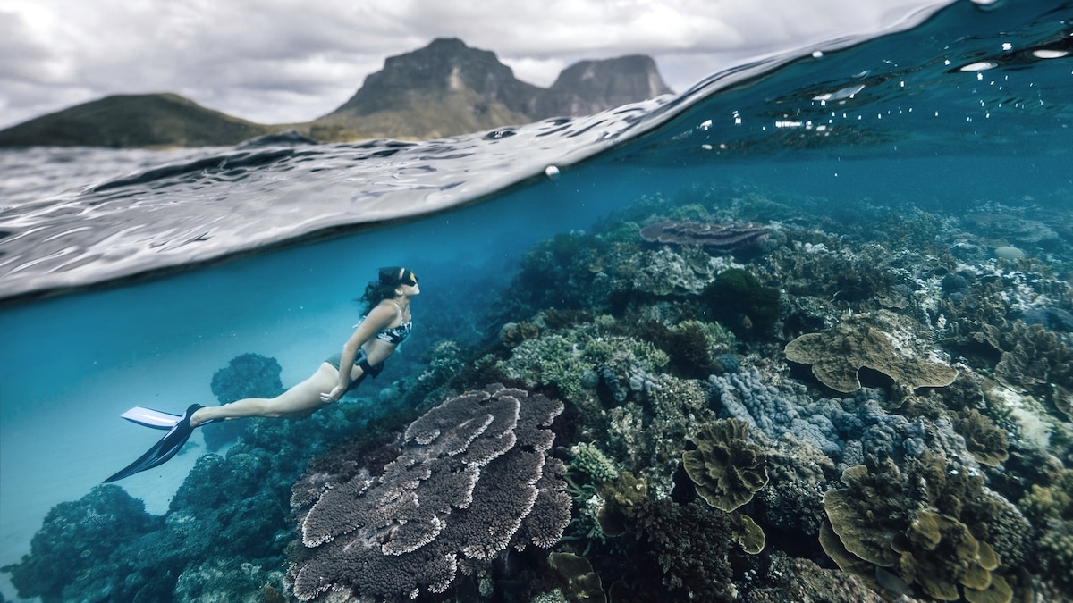 National Geographic Feature thumbnail