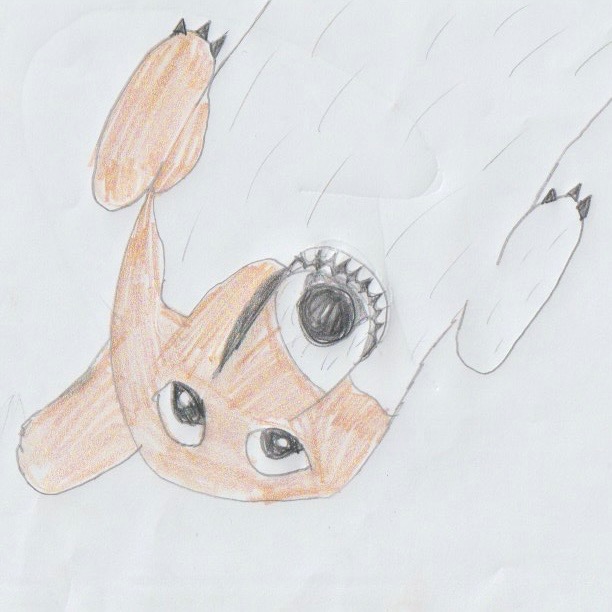 PET PORTRAITS FOR CHARITY thumbnail