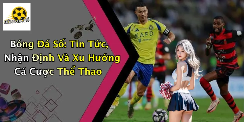 Bóng Đá Số: Tin Tức, Nhận Định Và Xu Hướng Cá Cược Thể Thao thumbnail