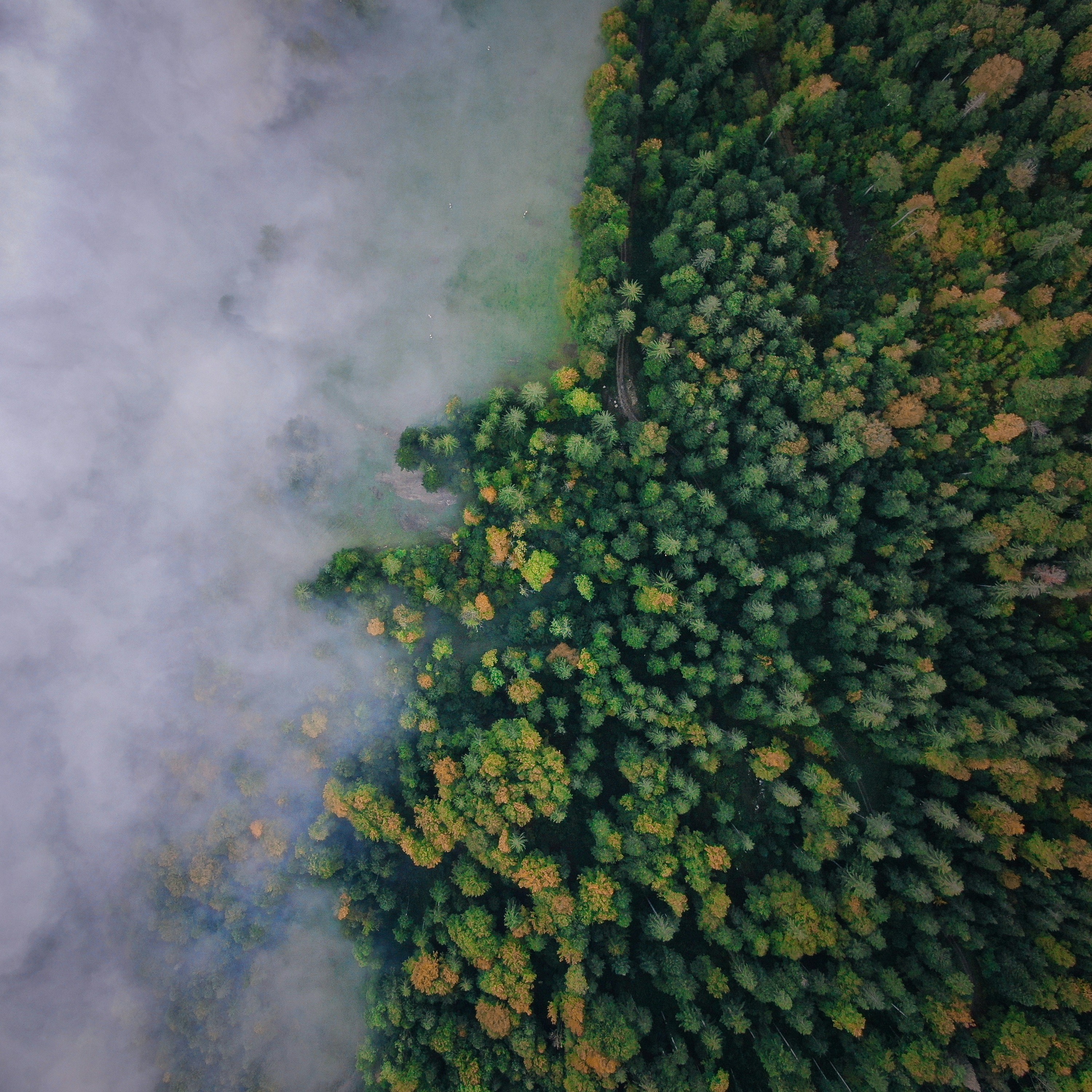 NATURE CONNECTION PITCH thumbnail