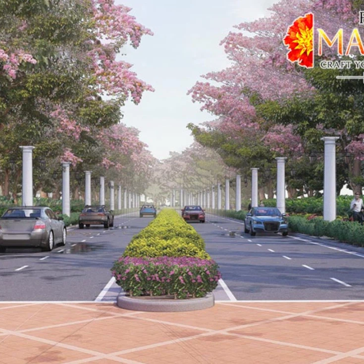 HeyLink Prestige Marigold thumbnail