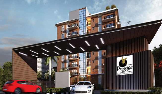 Prestige Marigold thumbnail