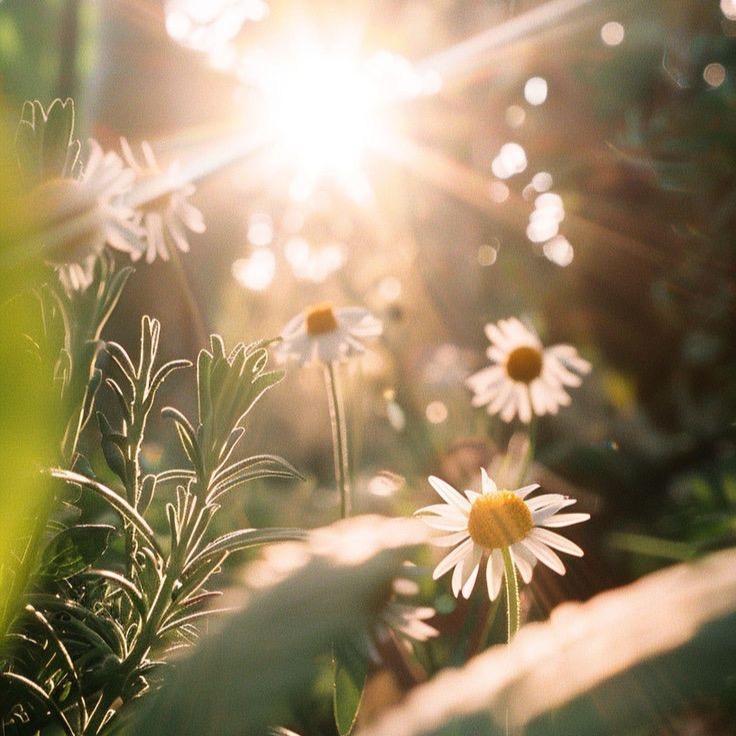 Corps & métamorphose - Naturopathie  thumbnail