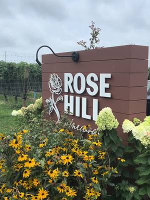 NYC daytrip to Rose Hill Vineyards in Mattituck #vineyard #wine #traveltok #girlstrip #nycdaytrip 