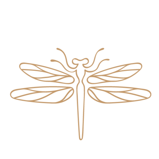 ThetaHealing Courses thumbnail