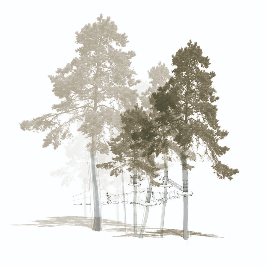 Archivo en pdf que te brinda de forma general algunas especies vegetales ornamentales thumbnail