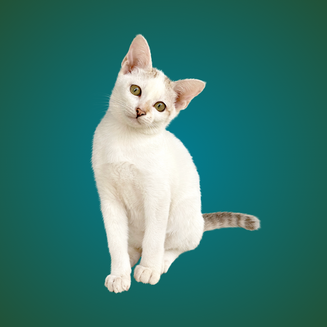 Localização thumbnail