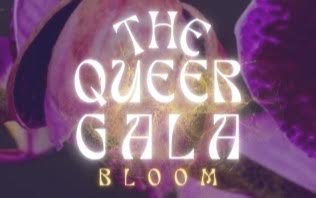 The Queer Gala 2025 Set to Celebrate LGBTQIA+ Excellence in Helsinki thumbnail